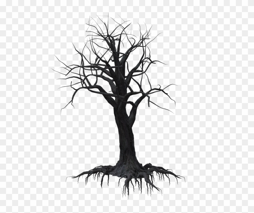 Creepy Tree 02 By Wolverine041269 On Clipart Library Silhouette HD