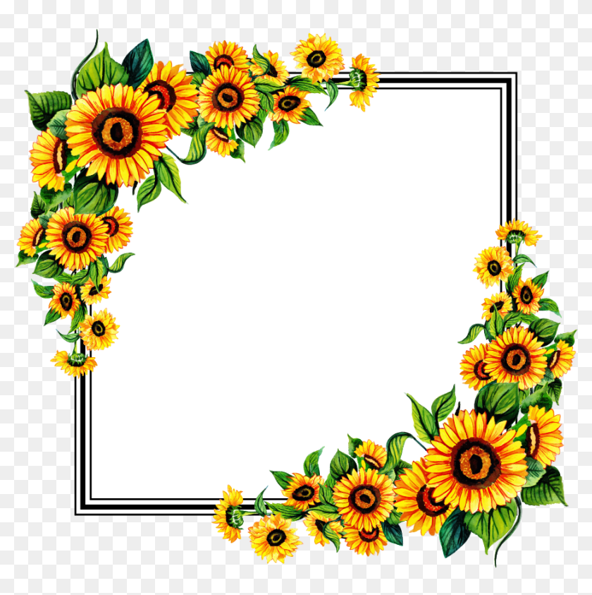 Free Png Floral Frame Sunflower Frame Transparent Background Png