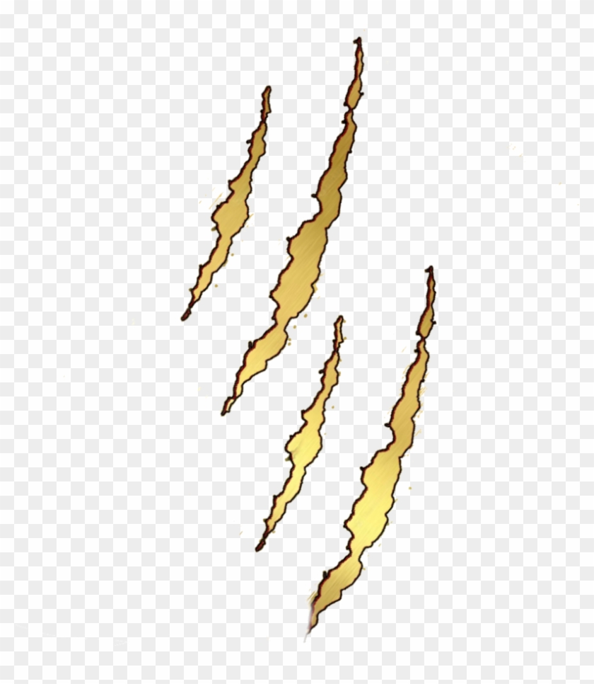 Claw Marks Png Gold Claw Scratch Png Transparent Png 894x894 6268 Pinpng