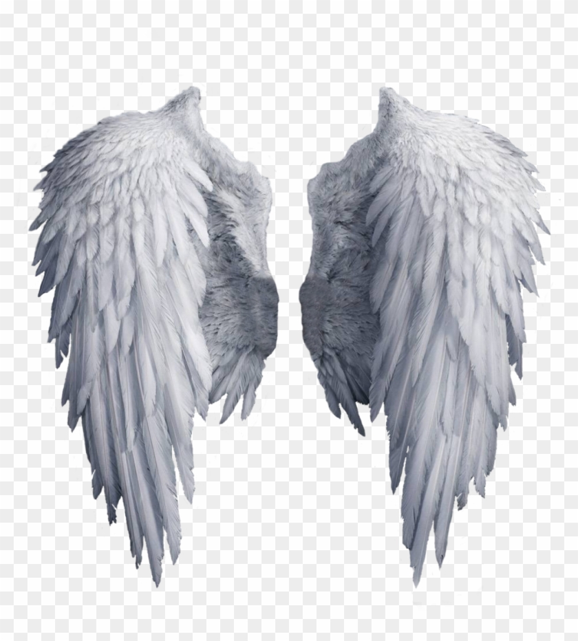 Angel Wings With Transparent Background, HD Png Download - 1024x1192 ...