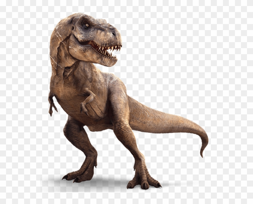 Jurassic World Is Probably Bringing Back This Unexpected - T Rex ...