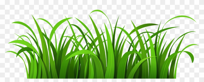 Download 19 Grass Svg Royalty Free Download Huge Freebie Download Grass Clipart Hd Png Download 6000x2247 18604 Pinpng