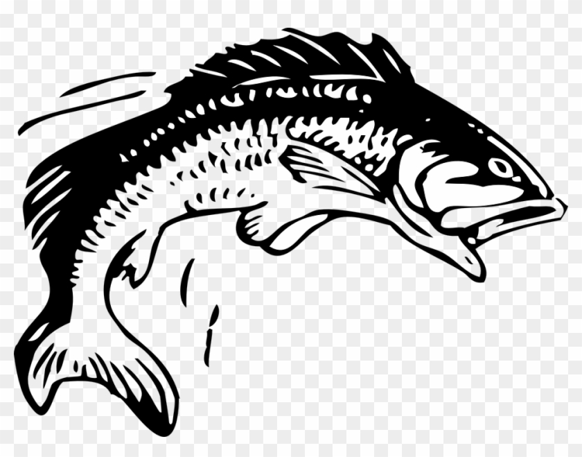 Fish, Fishing, Animal, Seafood Fish Clipart, Fish Vector - Group 11 ...