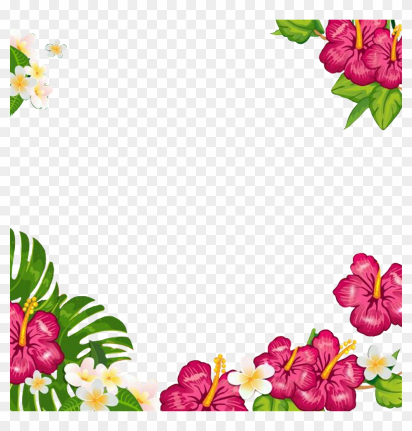 Summertime Summerfun Tropical Flowers Frame Picturefram, HD Png ...