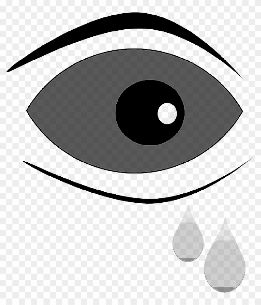 Eye Drop , Png Download - Circle, Transparent Png - 800x901 (#1088034 ...