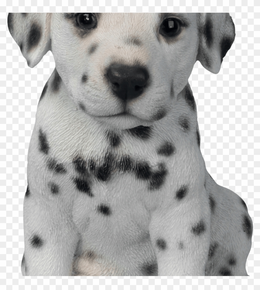 Cute Puppy Dog Clip Art Library Techflourish Collections - Dalmatian ...