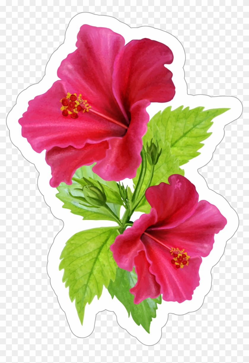 Beautiful Pink Hibiscus Flower Sticker Hd Png Download 1038x1462