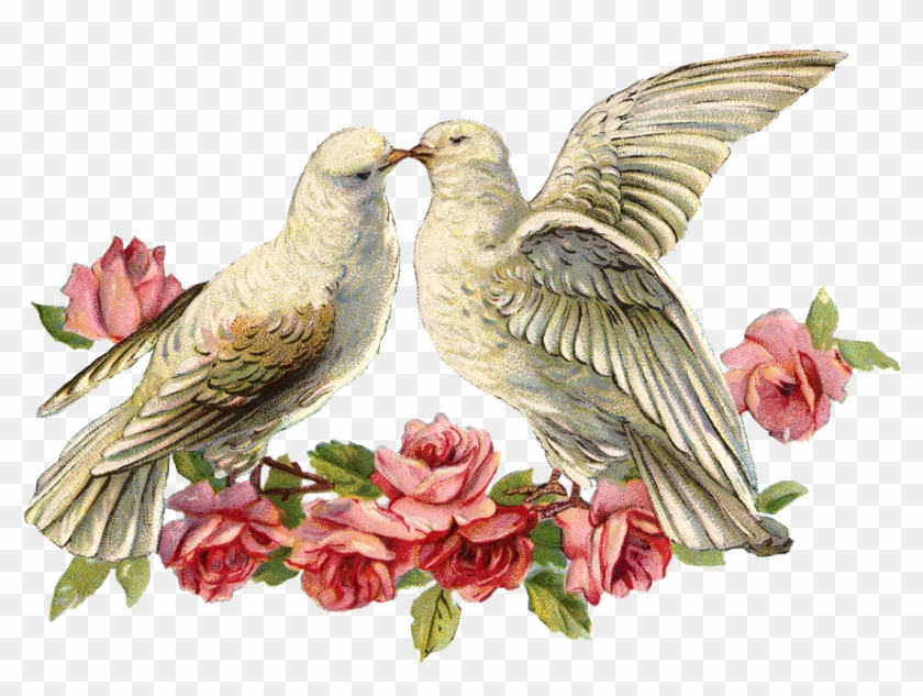 Today I Have An Image Of Two Doves With A Spray Of - Valentines Dinner ...