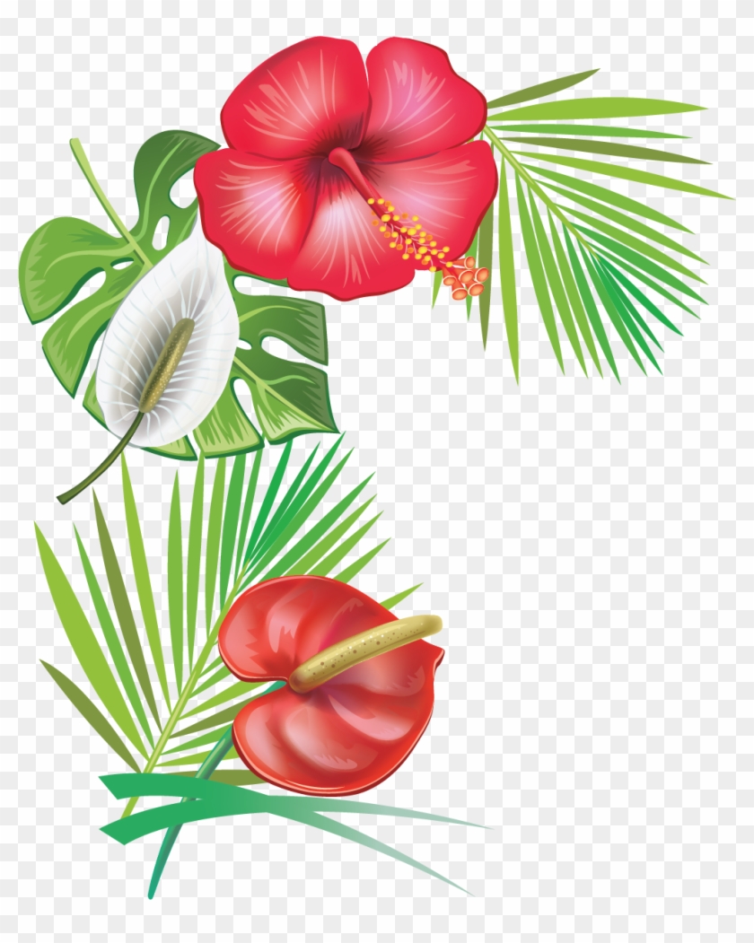 Hibiscus Clipart Caribbean Transparent Background Hibiscus Flower Moana Png Png Download 1016x1224 Pinpng