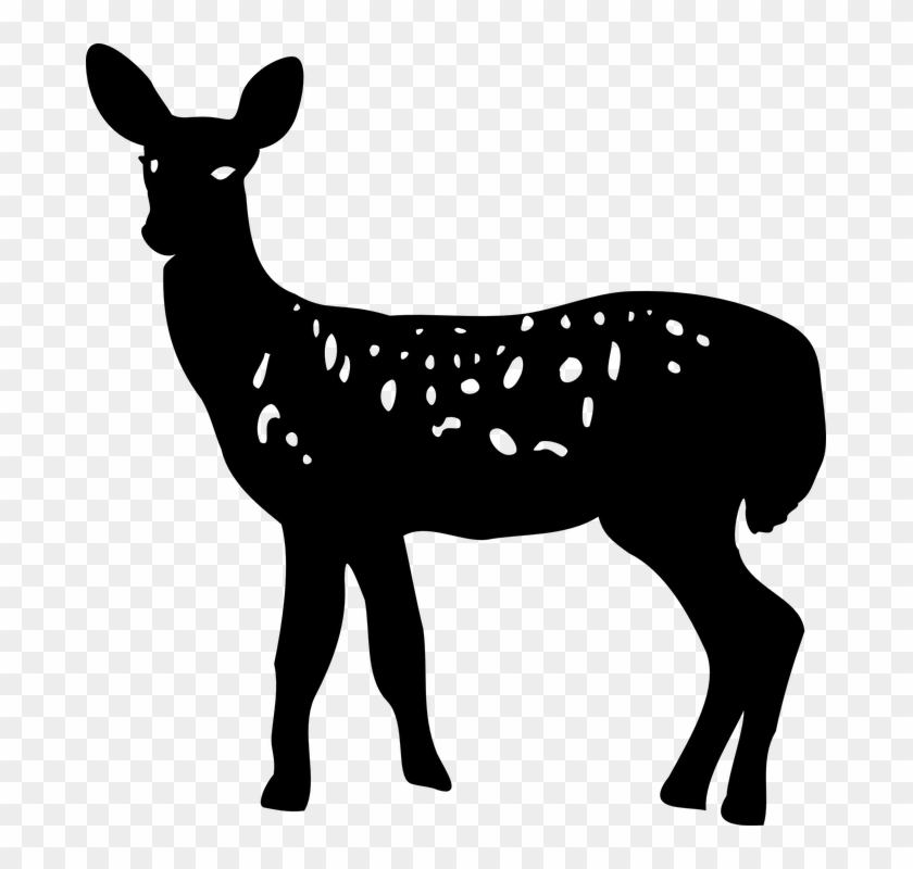 whitetail deer clipart black and white