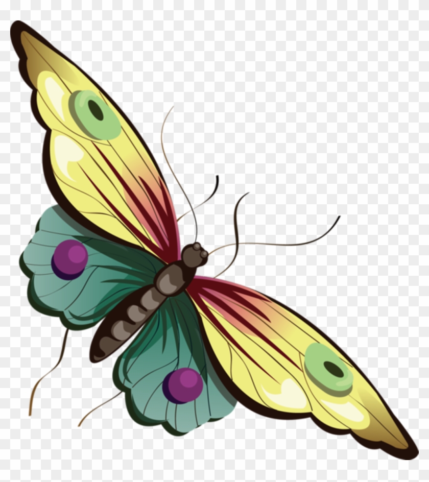 Mq Sticker - Butterfly Clipart With No Background, Hd Png Download 