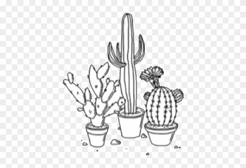 Cactus Flower Drawing Aesthetic Tumblr Black And White Hd