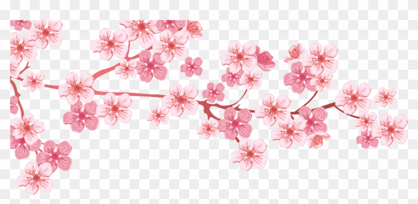 Almond Tree - Almond Tree Png, Transparent Png - 1653x729 (#136083 ...