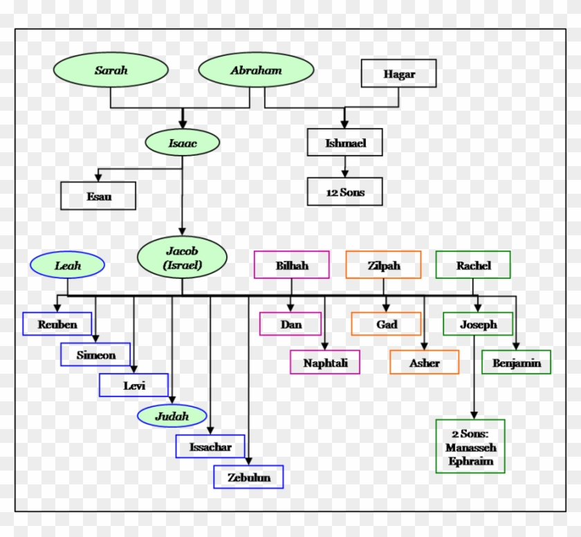 Crisostomo Ibarra Family Tree Clipart Bible Abraham's - Crisostomo ...