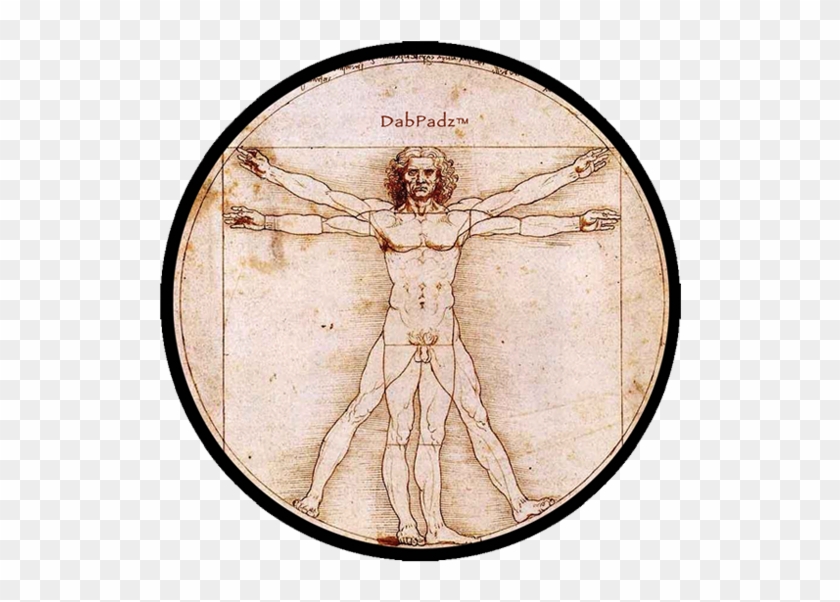 leonardo da vinci vitruvian man censored