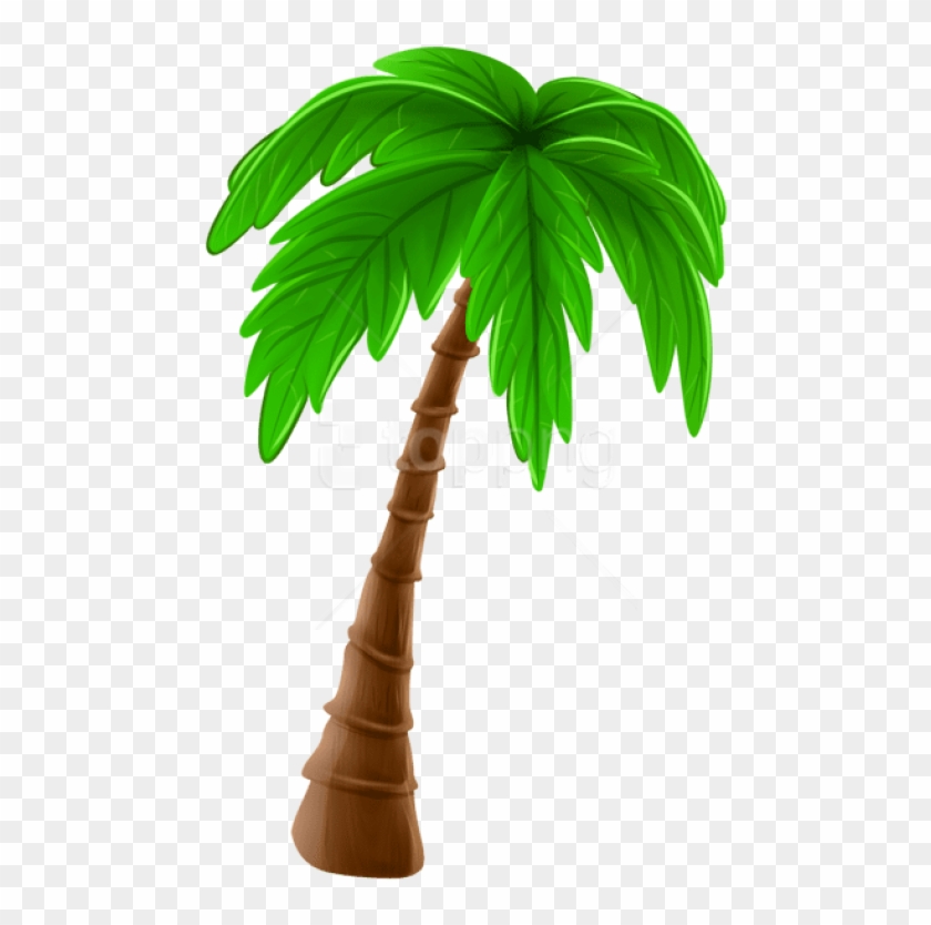 Free Png Download Palm Tree Cartoon Png Images Background - Coconut ...