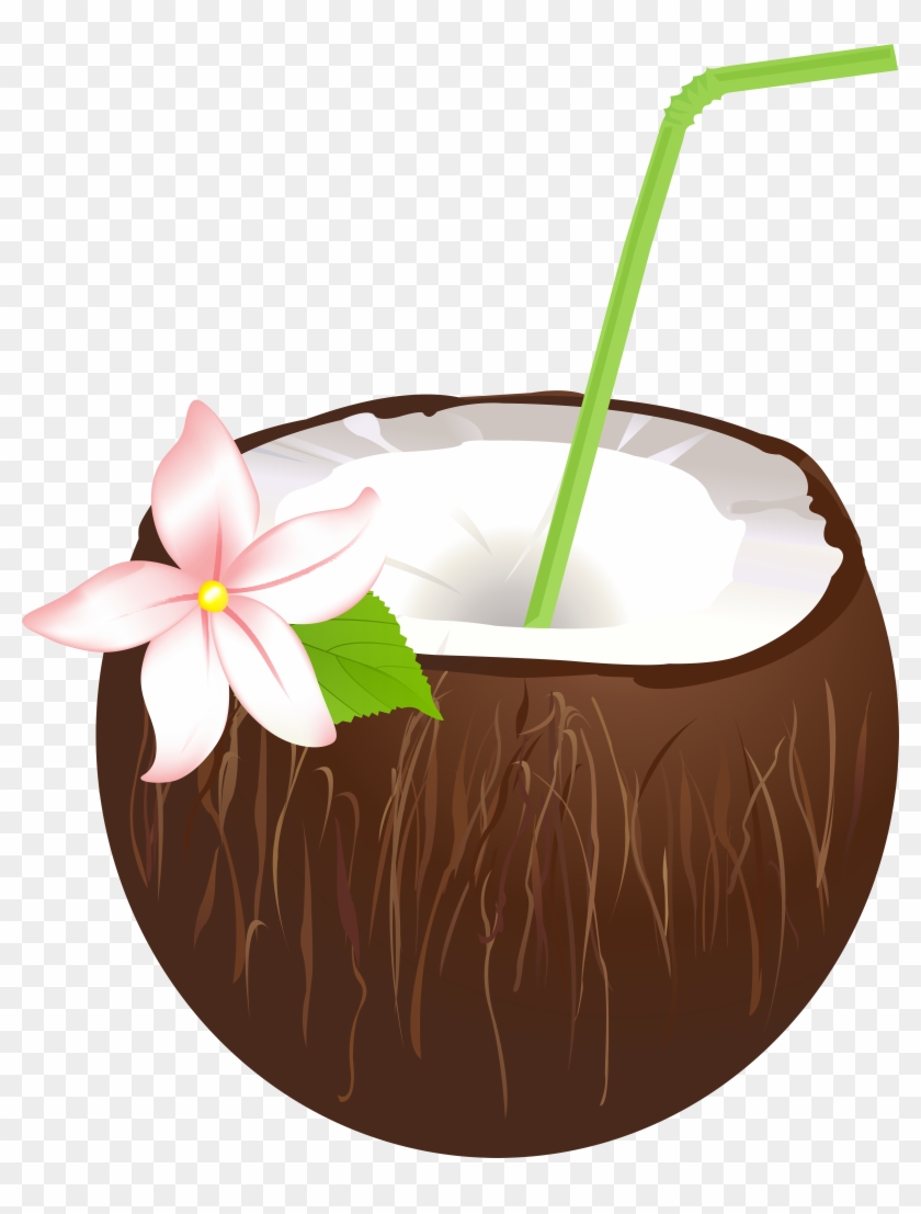 Summer Coconut Drink Png Clip Art Image, Transparent Png - 6278x8000 ...