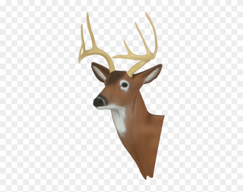 Medium Delta Mckenzie - Mckenzie Deer Targets, HD Png Download ...