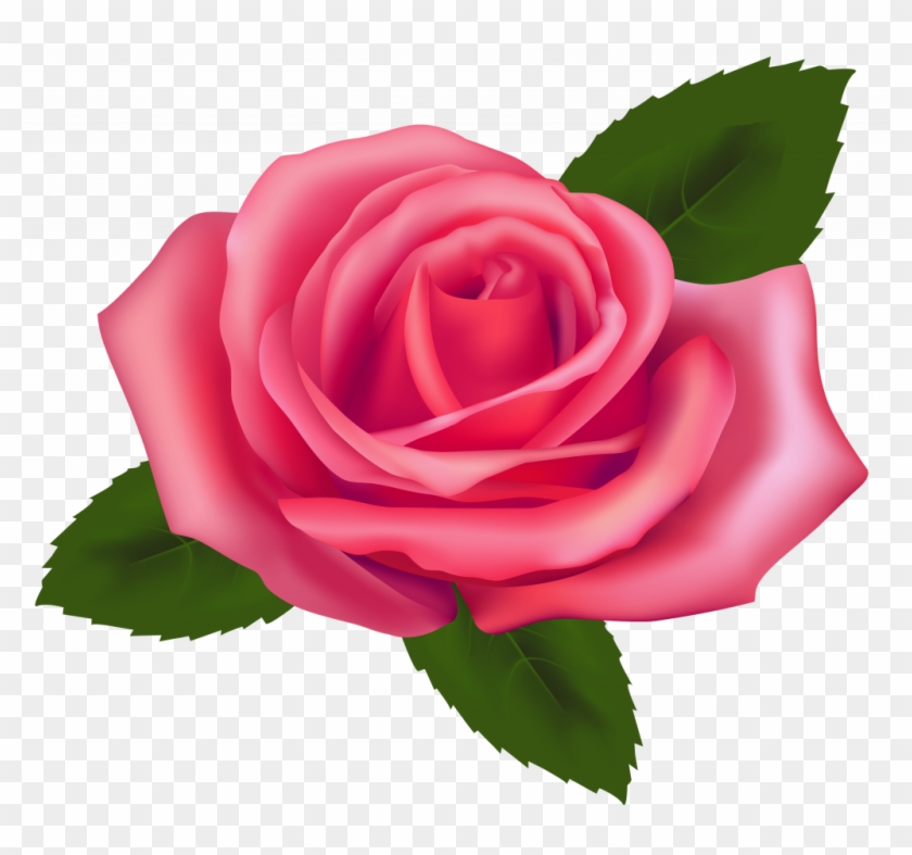 Download Pink Rose Clip Art - Rose Clip Art Png, Transparent Png ...