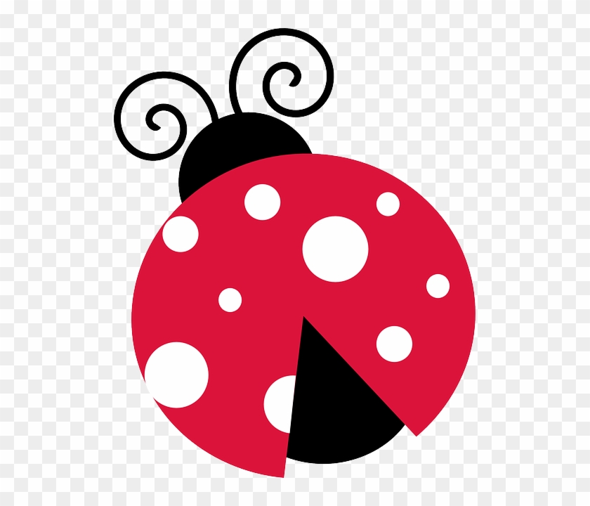 Ladybird png download - 850*707 - Free Transparent Insect png