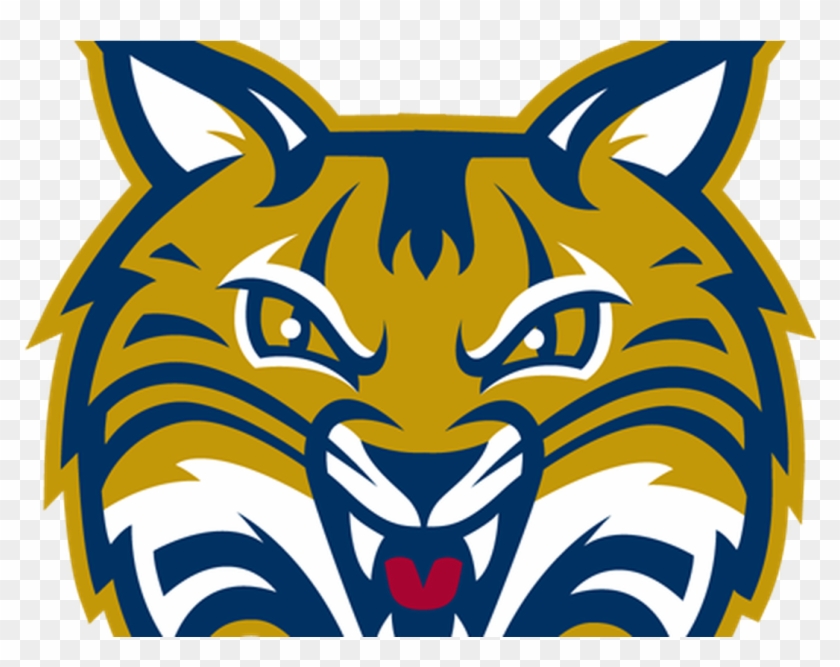 Bobcat Clipart Scared - Quinnipiac Bobcat, Hd Png Download - 1073x801 