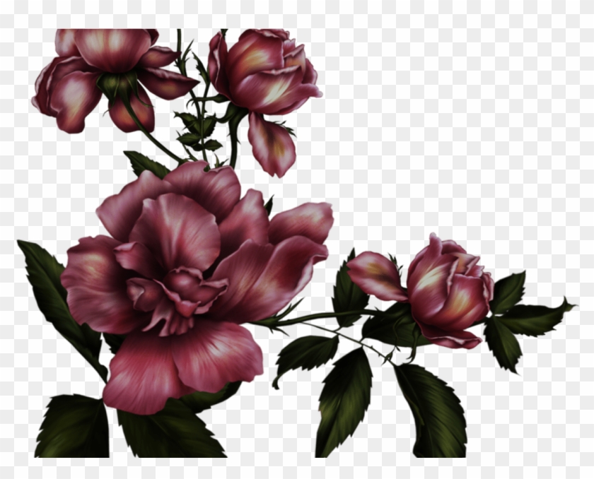 Gothic Rose Transparent Background Png Mart - Transparent Background ...