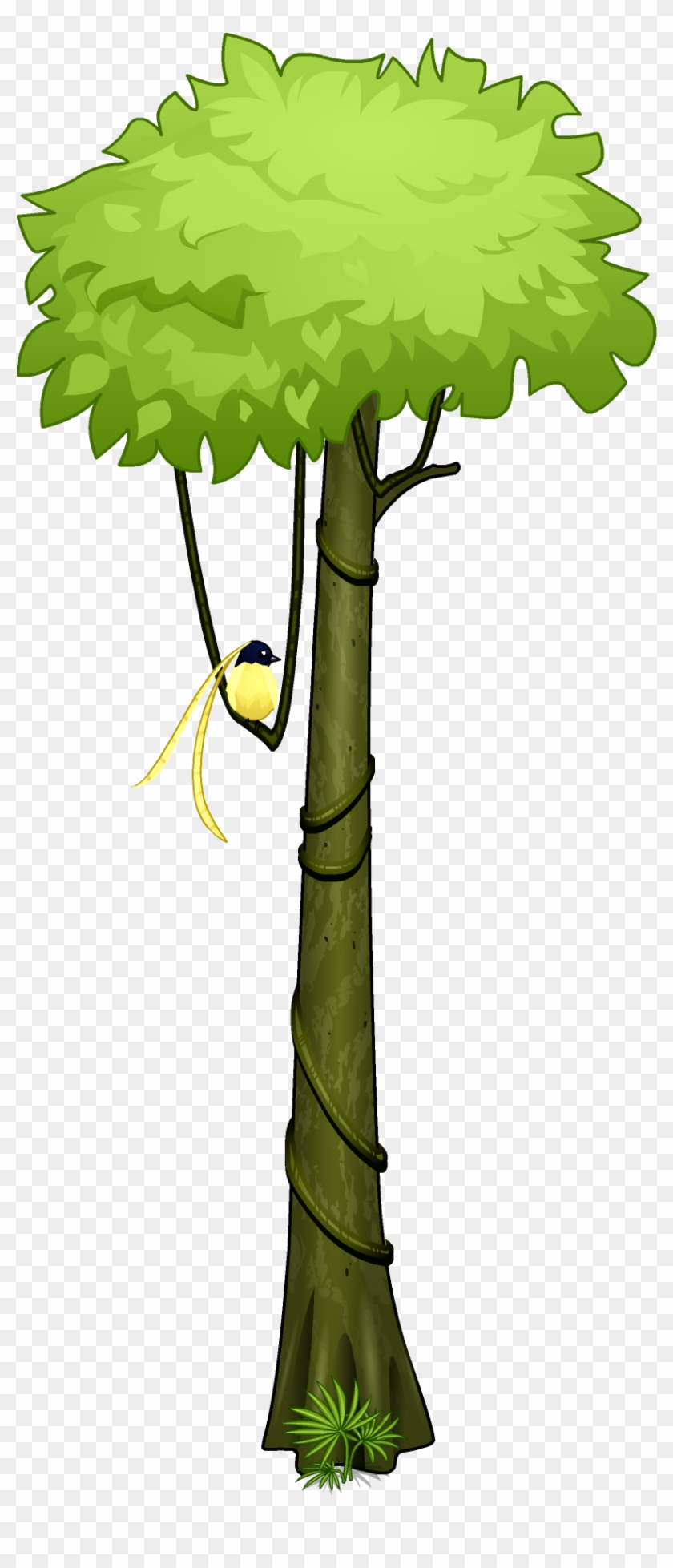 Amazon Rainforest Tropical Rainforest Tree Clip Art Tropical Rainforest Trees Cartoon Hd Png Download 1080x19 Pinpng