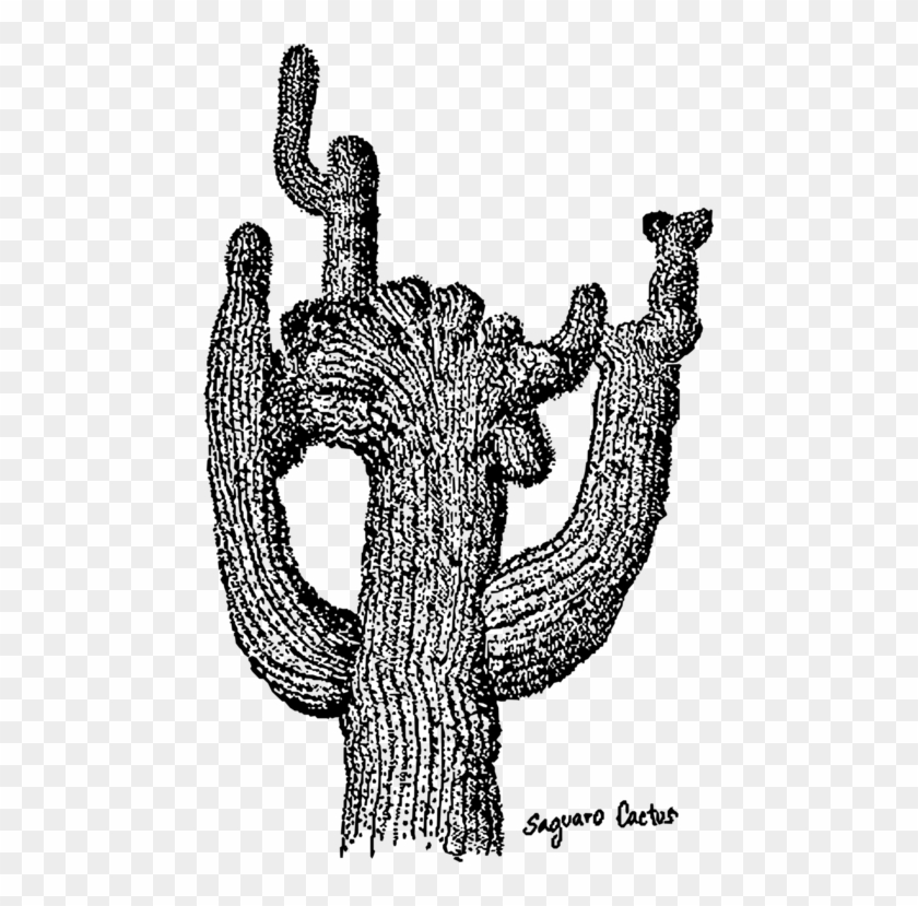 Black Cactus PNG and Black Cactus Transparent Clipart Free Download. -  CleanPNG / KissPNG