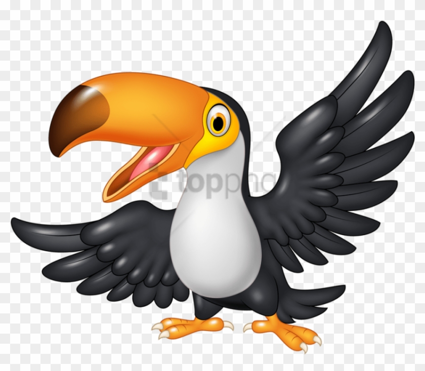 Free Png Download Cartoon Toucan Png Images Background - Toucan Cartoon ...