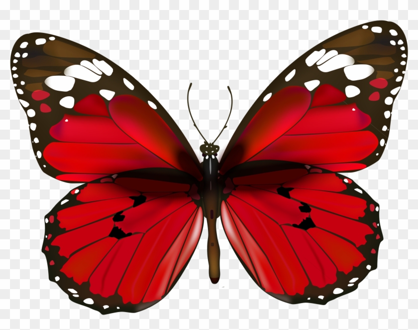 Red Butterfly Png Clipart - Red Butterfly Painting, Transparent Png ...