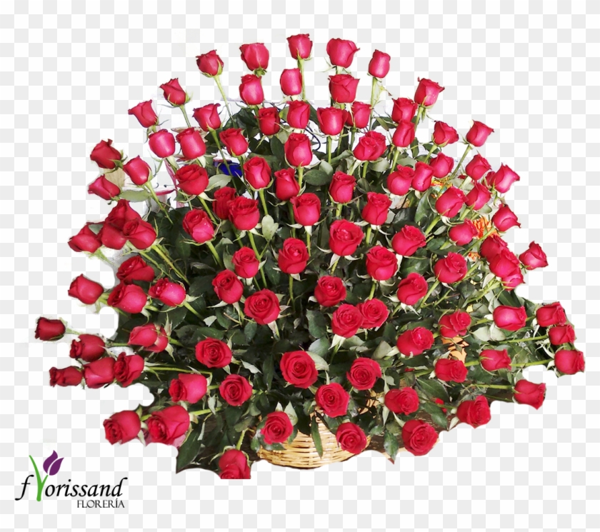 Rosas Rojas Bouquet Hd Png Download X Pinpng