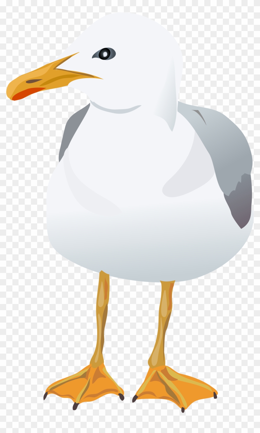 Seagull Transparent Png Clip Art Image - Laughing Gull, Png Download ...