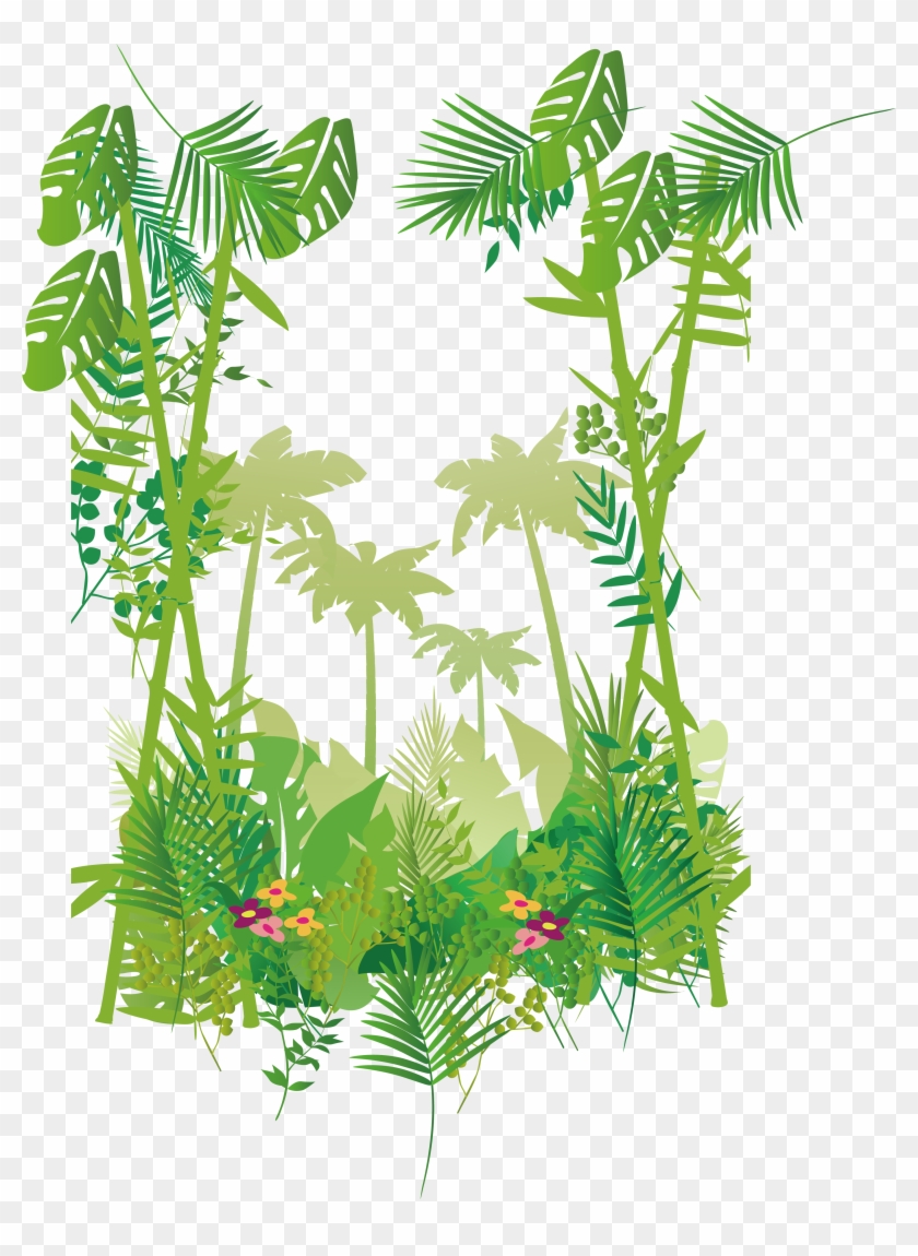 Svg Royalty Free Forest Border Transprent Png Free Tropical Forest Transparent Png Download 3505x4600 185249 Pinpng