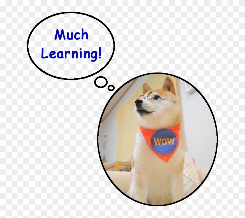 Doge Learning - Child, HD Png Download - 655x666 (#1831114) - PinPng