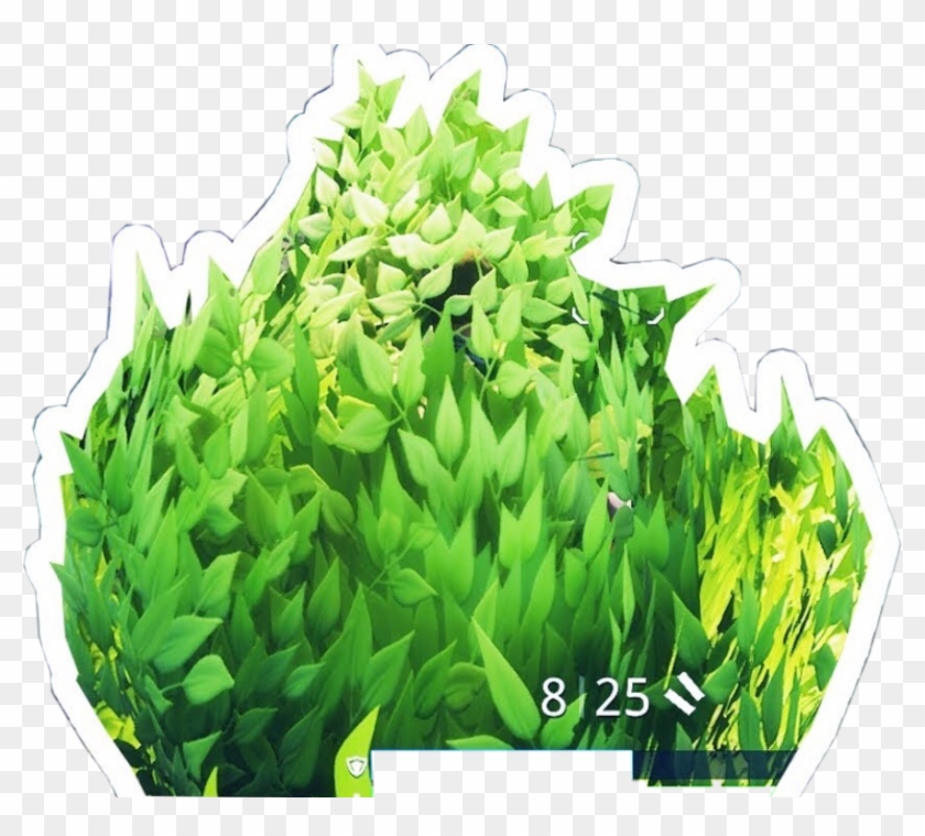 875 X 749 25 - Fortnite Bush Transparent Background, HD Png Download ...