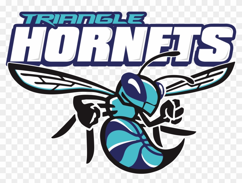 Charlotte Hornets , Png Download - Charlotte Hornets, Transparent Png ...