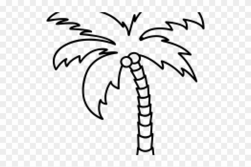 Drawn Palm Tree Line - Palmeras Para Dibujar Faciles, HD Png Download ...