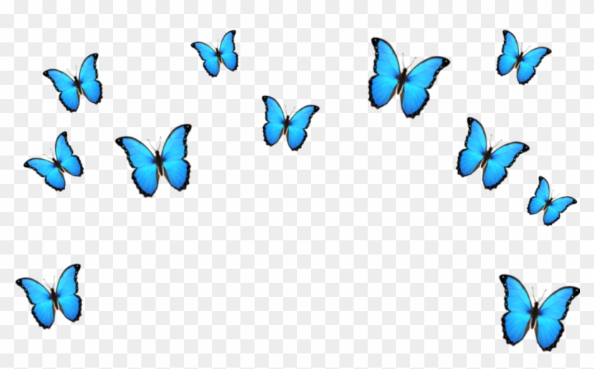 Download Butterfly Emoji Blue Crown Cute - Butterfly Crown Png ...