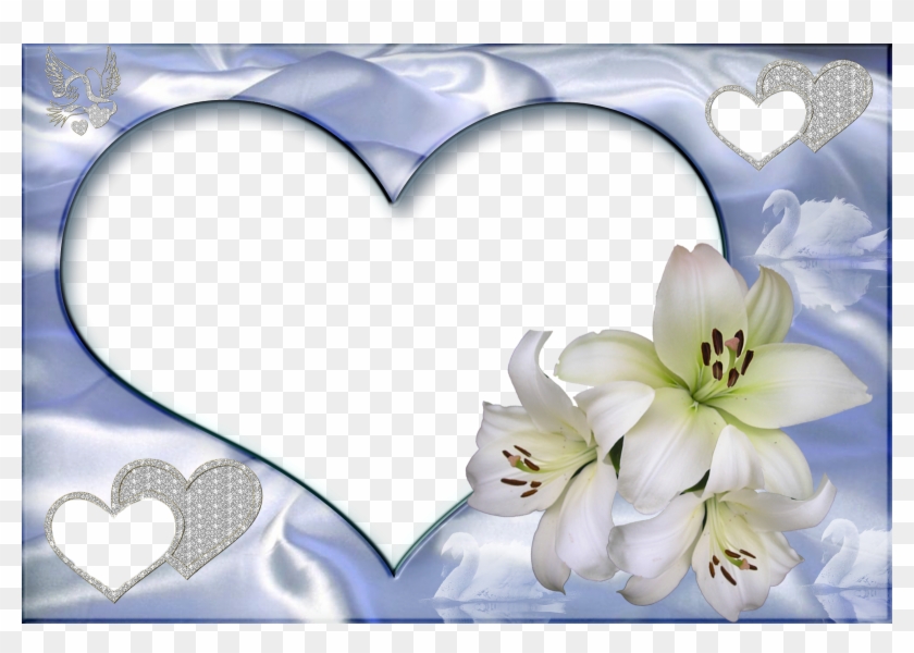 Png Wedding Images For Photoshop Download, Transparent Png - 1600x1067 ...