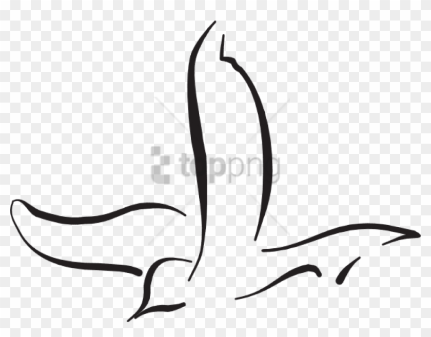 Free Png Download Flying Bird Line Drawing Png Images - Flying Bird Png ...