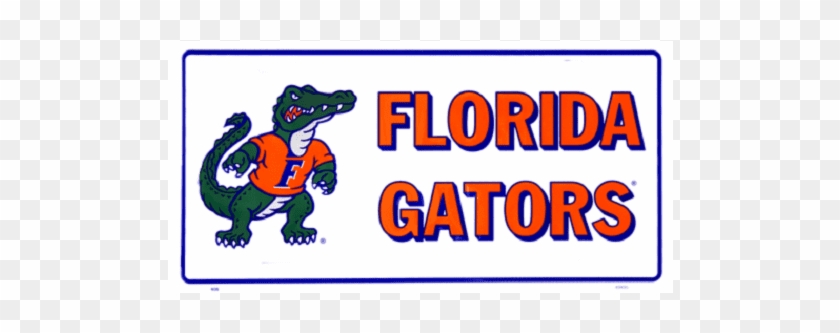 30+ Florida Gators Png Background