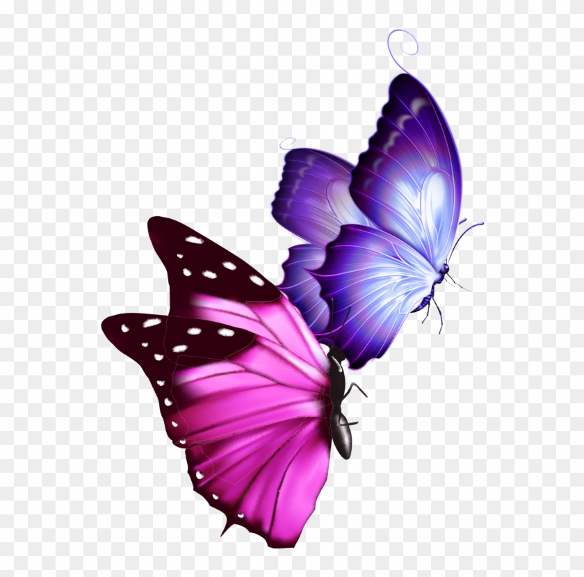 #mq #pink #purple #butterfly #butterflys - Papilio, HD Png Download ...