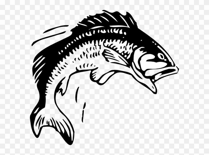 Salmon Clipart Bangus - Group 11 Rugby League, HD Png Download ...