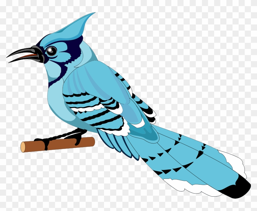 Bird 21 Free Vector - Blue Jay Clipart Png, Transparent Png - 800x610 ...