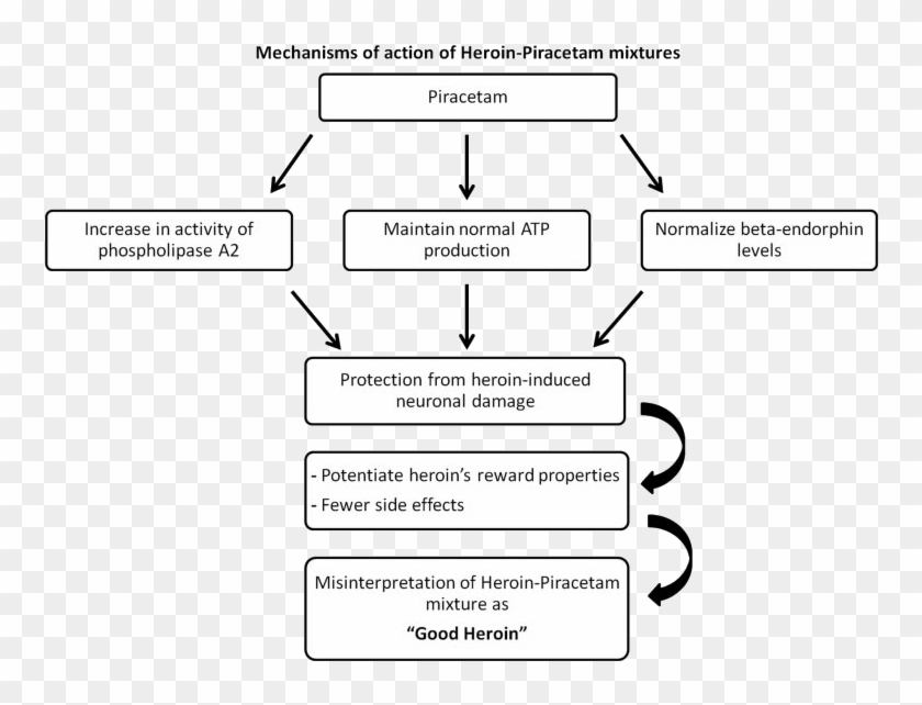 Put of action. Mechanism of Action of Piracetam. Mechanisms of Piracetam. Mechanism of Action of quetiapine. Heroin mechanism of Action.