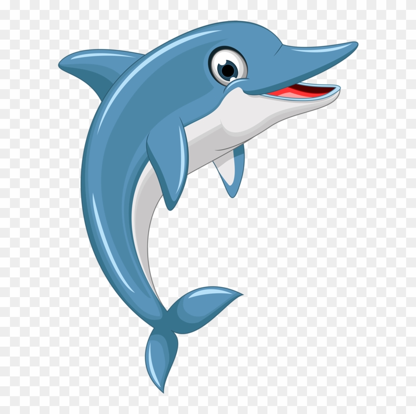 Dolphin Png Cartoon, Transparent Png - 671x800 (#2326241) - PinPng