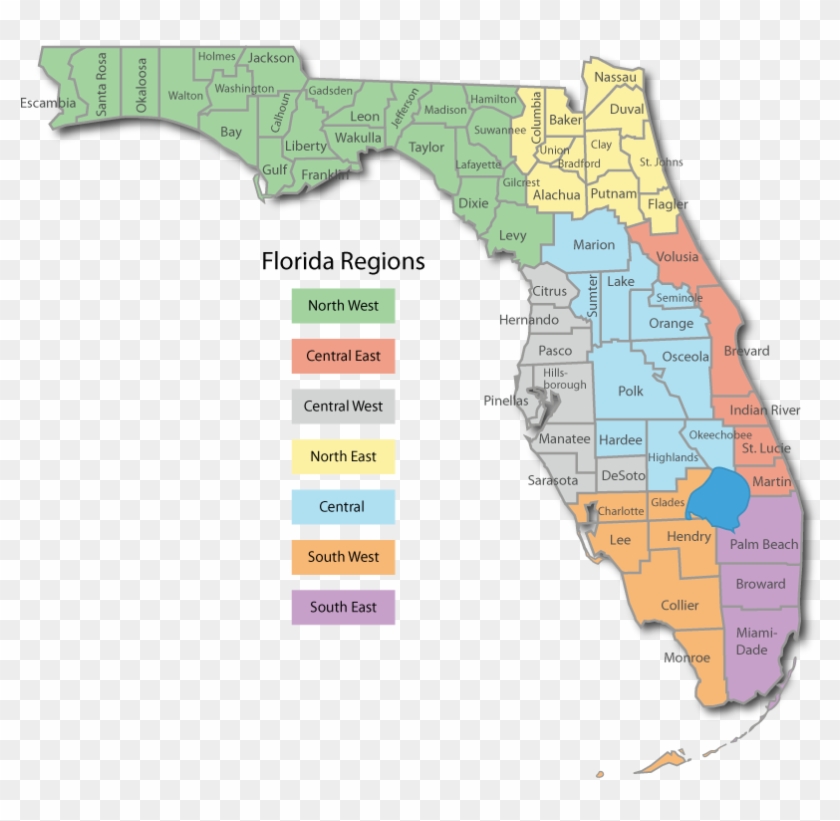 Florida County Profiles - Florida Counties And Regions, HD Png Download ...