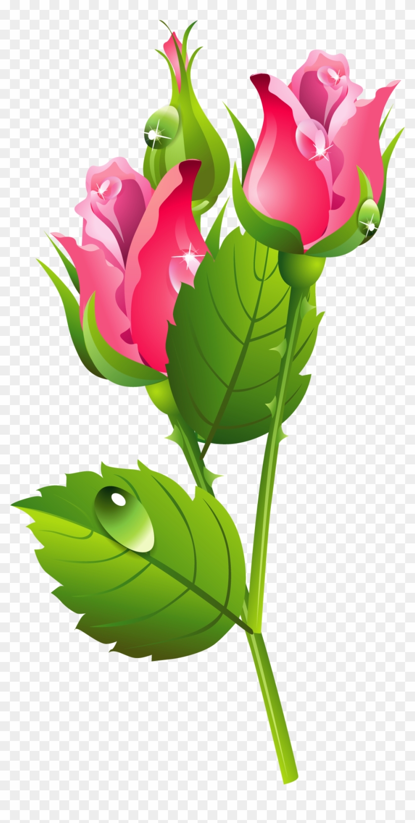 Romantic Pink Flower Border Png Transparent Image - Rose Flower Sticker ...