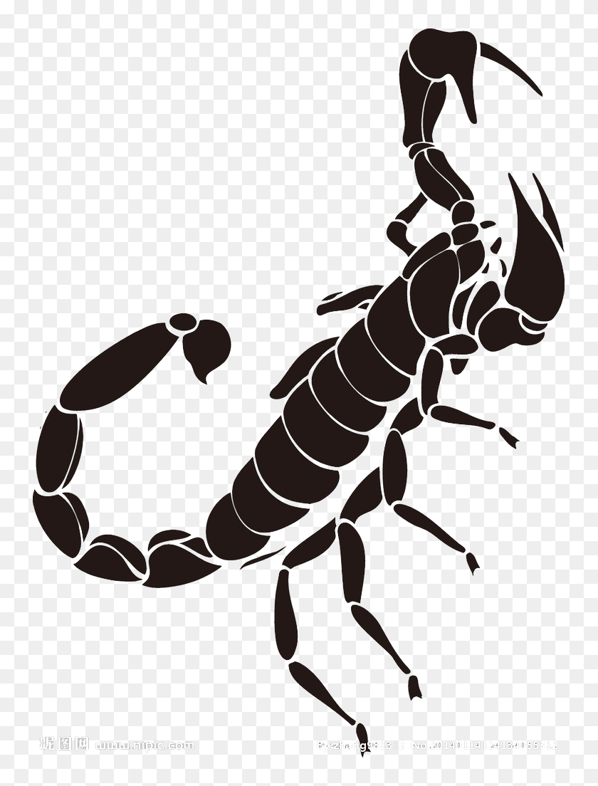 Black Scorpio Free Png Image - Black And White Photo Of Scorpion ...