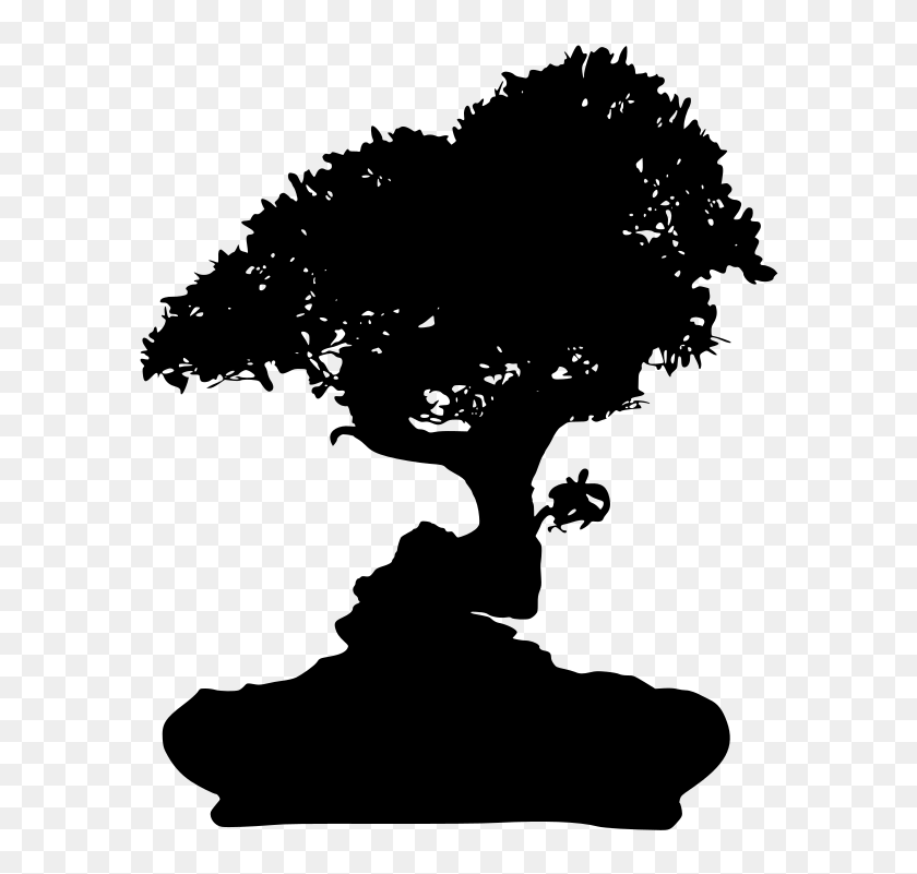 Download Png - Transparent Bonsai Tree Png, Png Download - 694x1024 ...